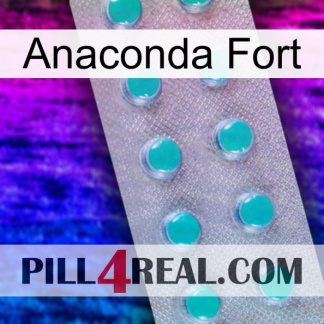 Anaconda Strong 28